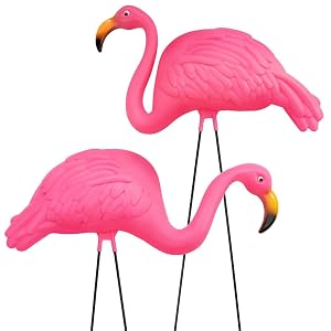 2 pack large pink flamingos giftexpress