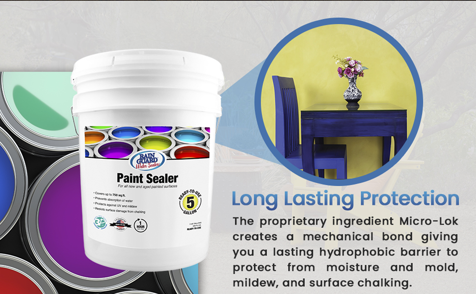 paint sealer rain guard