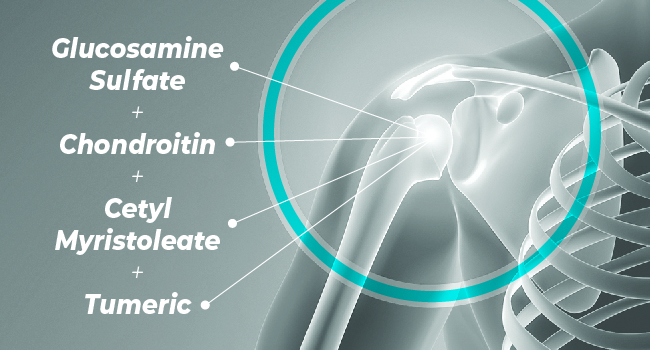 NDS Nutrition Dr. Joints Advanced Premium Joint Health Ingredients