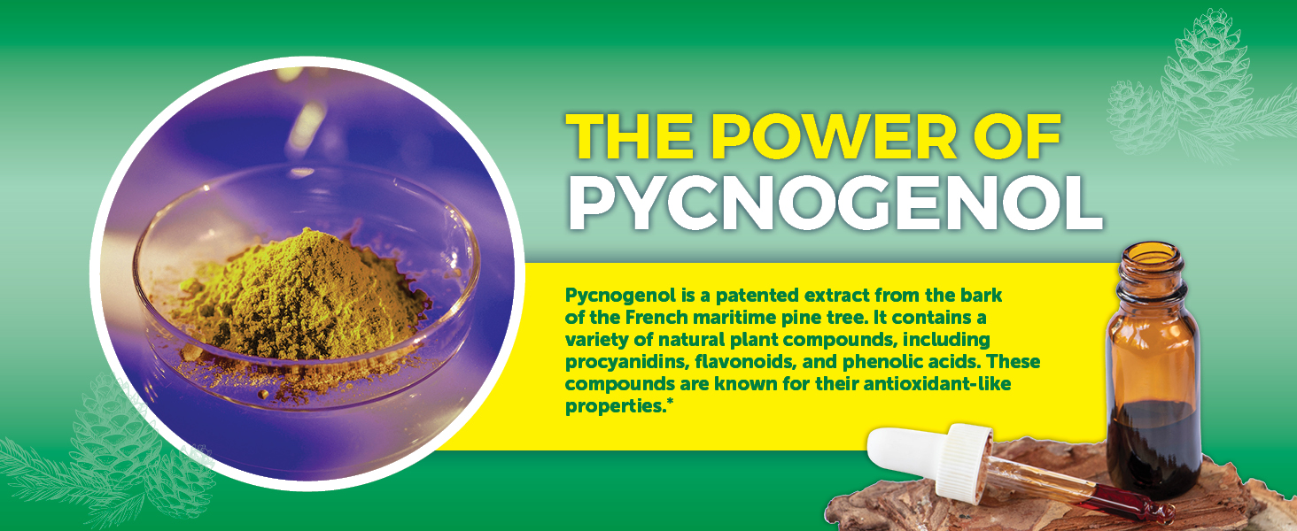 Pycnogenol