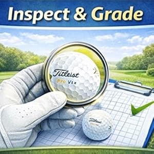 inspect