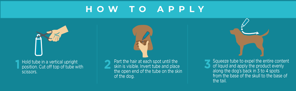 FirstAct Plus Directions