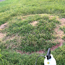 Weed Killer Before