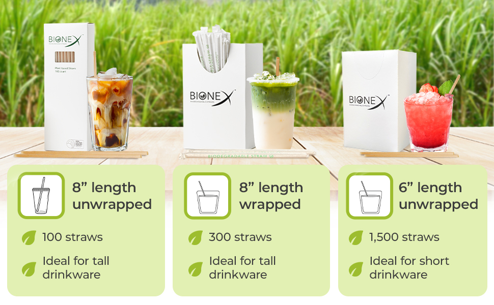 Bionex Sugarcane Straws Wrapped Drinking Straws, Plastic and Paper Straws Alternative