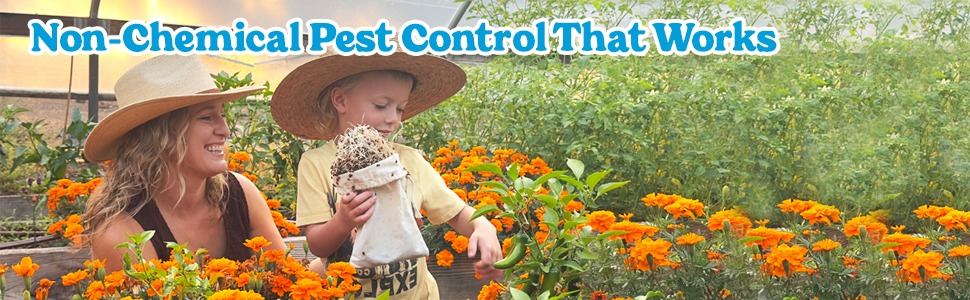 Natural Pest Control That Works image