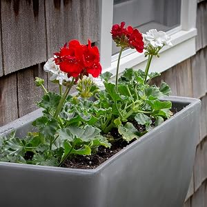 RTS rectangular planter