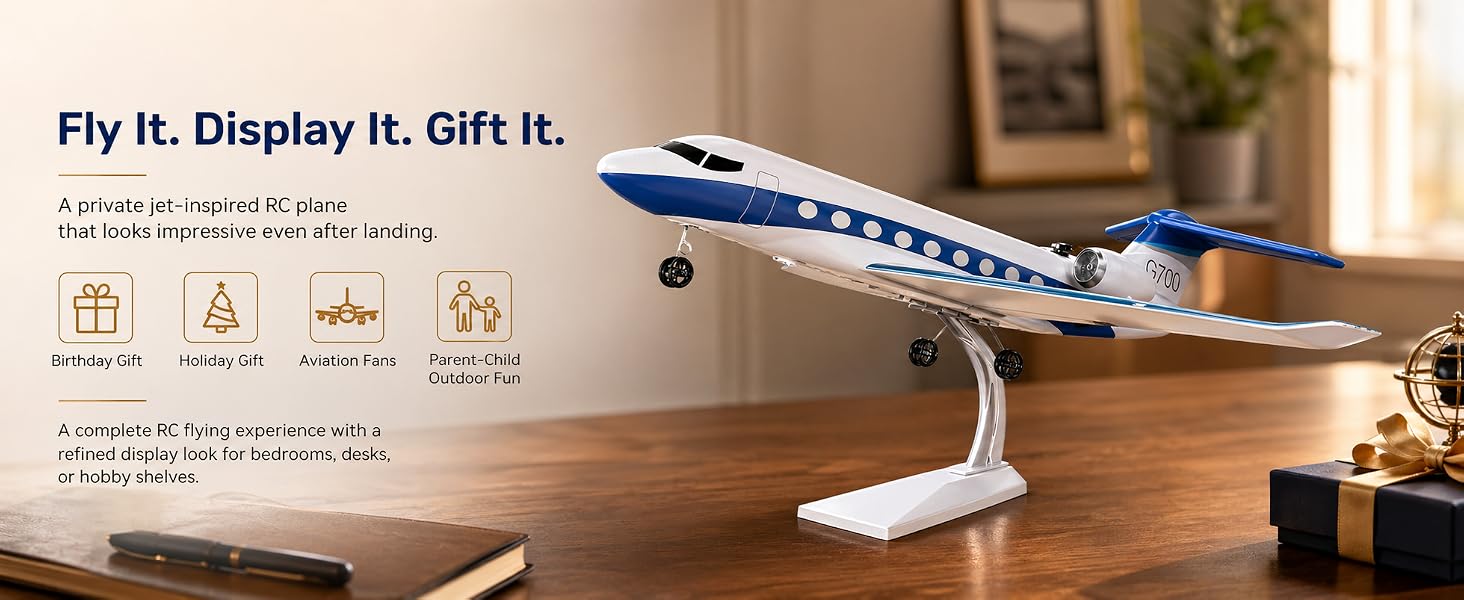 A private jet-inspired RC plane that looks impressive even after landing