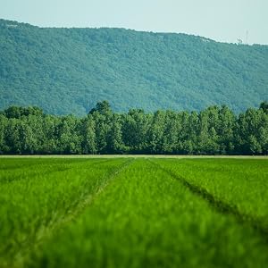 Ralston Family Farms
