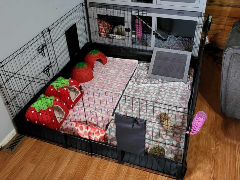 Bunny Run playpen