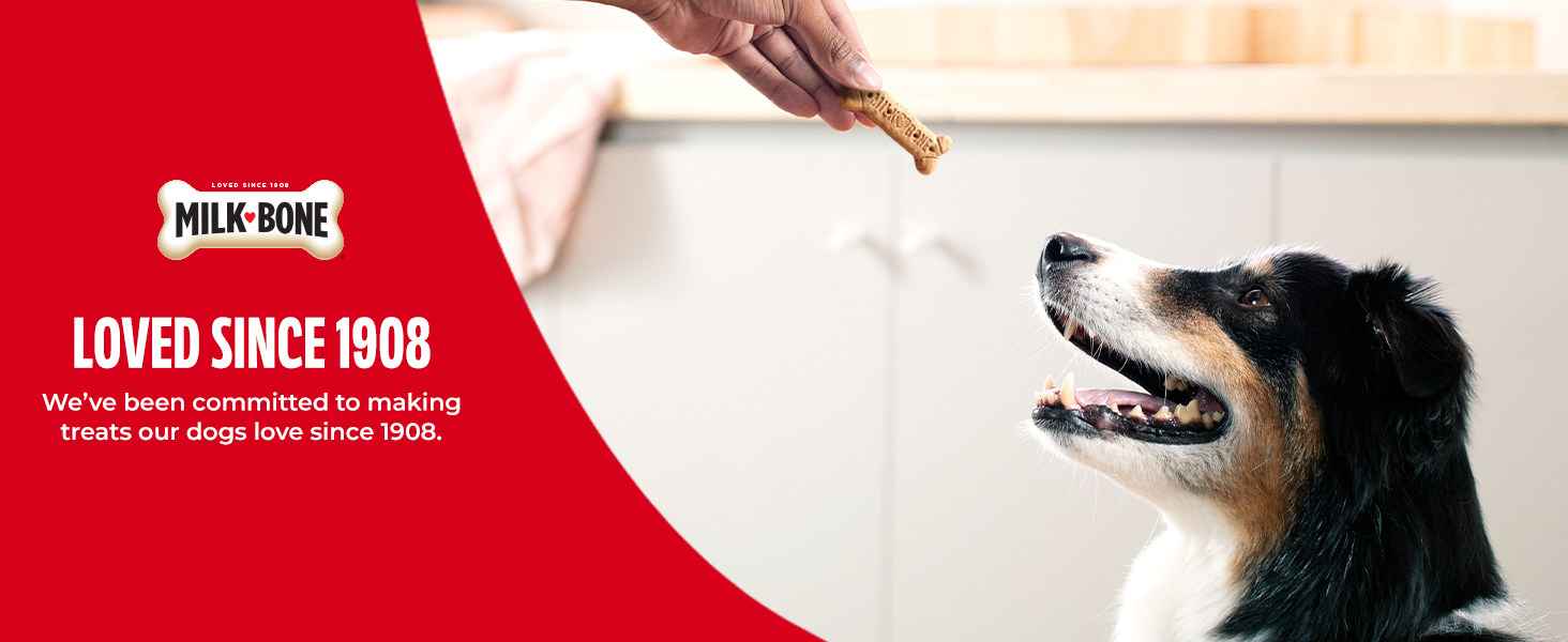 milk bone, milk-bone