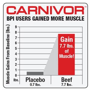 Beef Protein Isolate Build Muscle Sugar Free, Fat Lactose BCAA Easy Digest Hydrolyzed