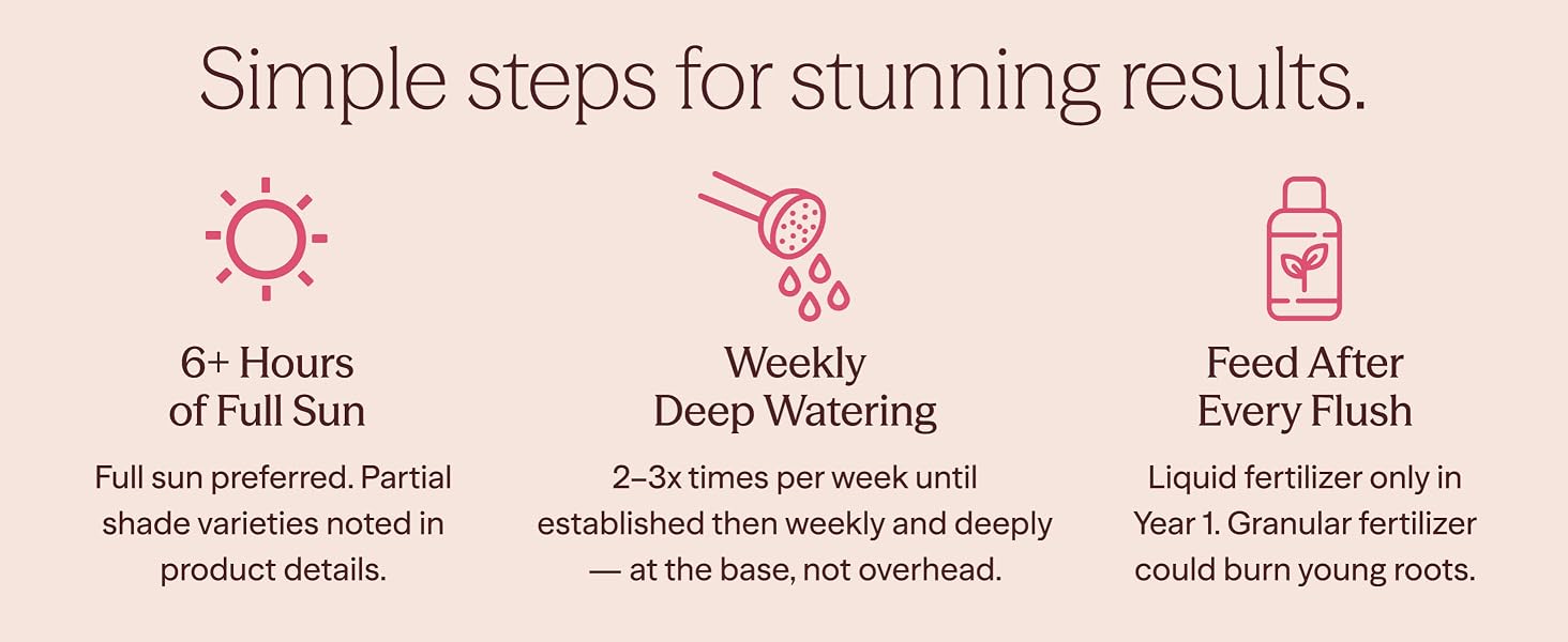 Simple steps for stunning results.
