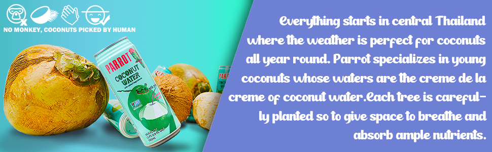 parrot coconut water