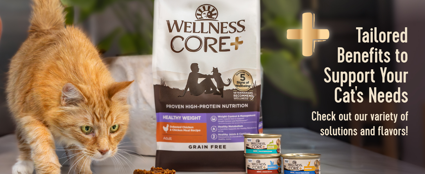 Tailored Benefits to Support Your Cat&amp;#39;s Needs