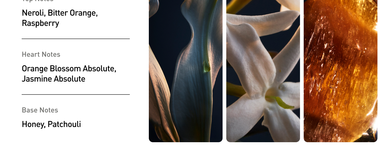Perfume for women with floral notes and radiant womens fragrance presentation