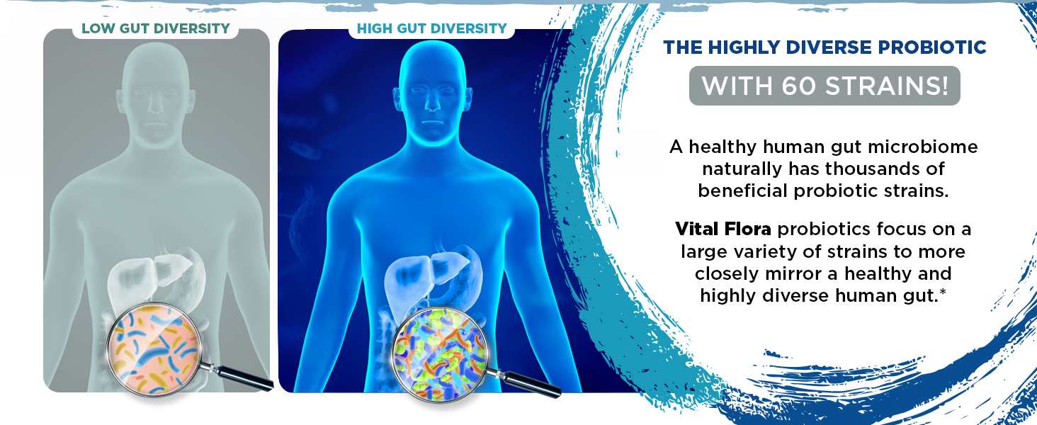 release capsule probiotics assembled USA GMP-certified facility immune support digestive complete