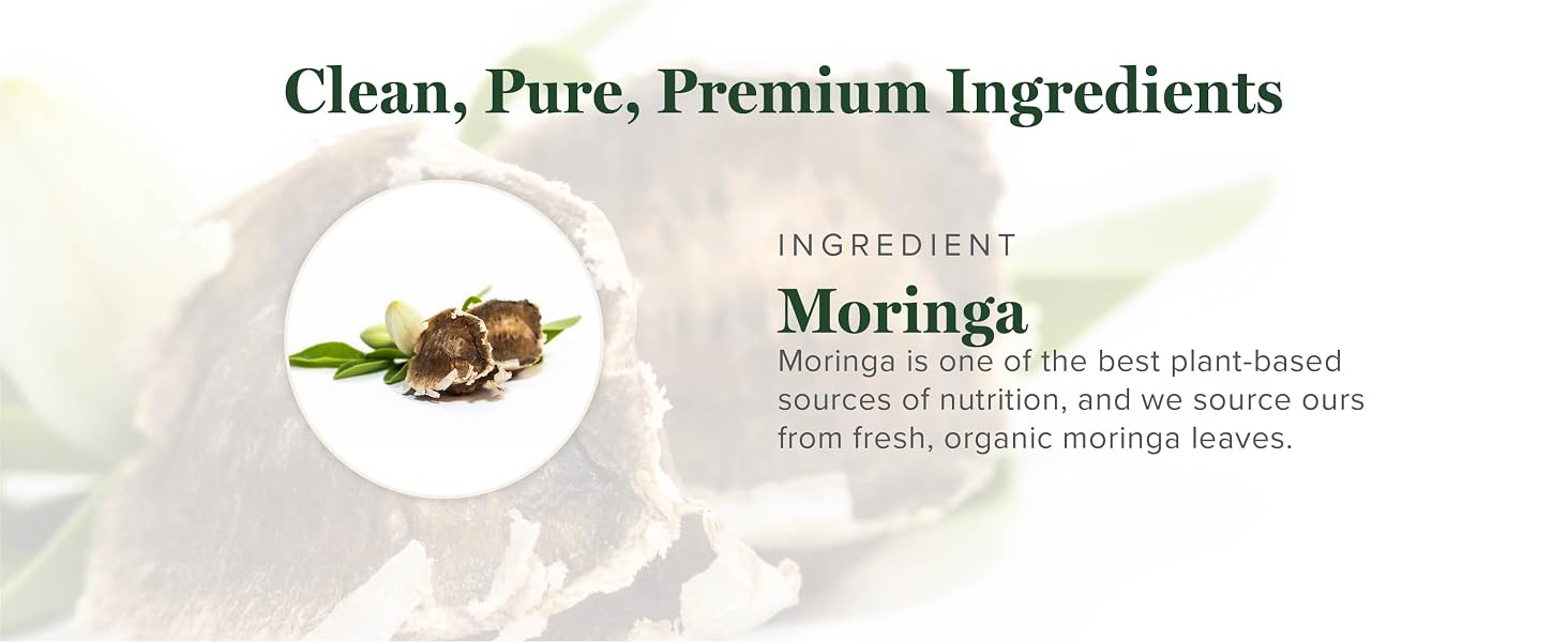 moringa ingredient
