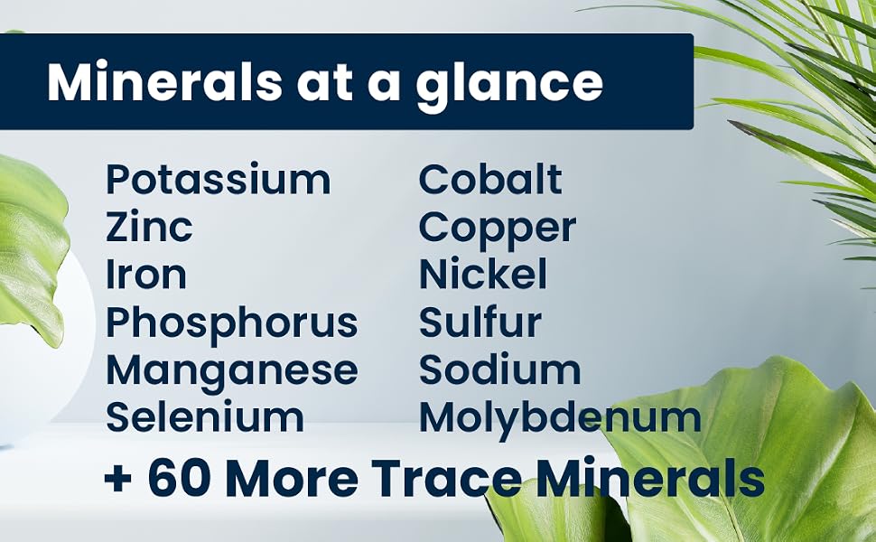 Minerals at a glance