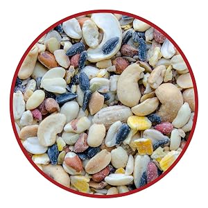 lyric, bird seed, bird food, lyric bird seed, wild bird seed, fruit and nut, fruit and nut bird seed