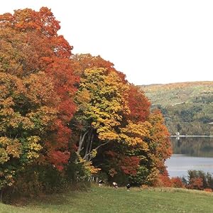 seven generations stewardship responsible forest sustainable approach agriculture maple forests habi