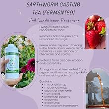 Conditions soil and builds a protective ecosystem