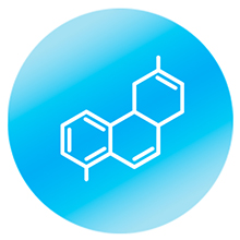 therap 6