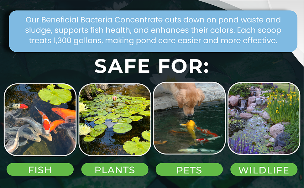 Safe for fish, plants, pets, and wildlife