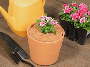 coco rubber tree ring tree rings mulch mat tree mulch ring rubber mat mulch mulch rings for trees