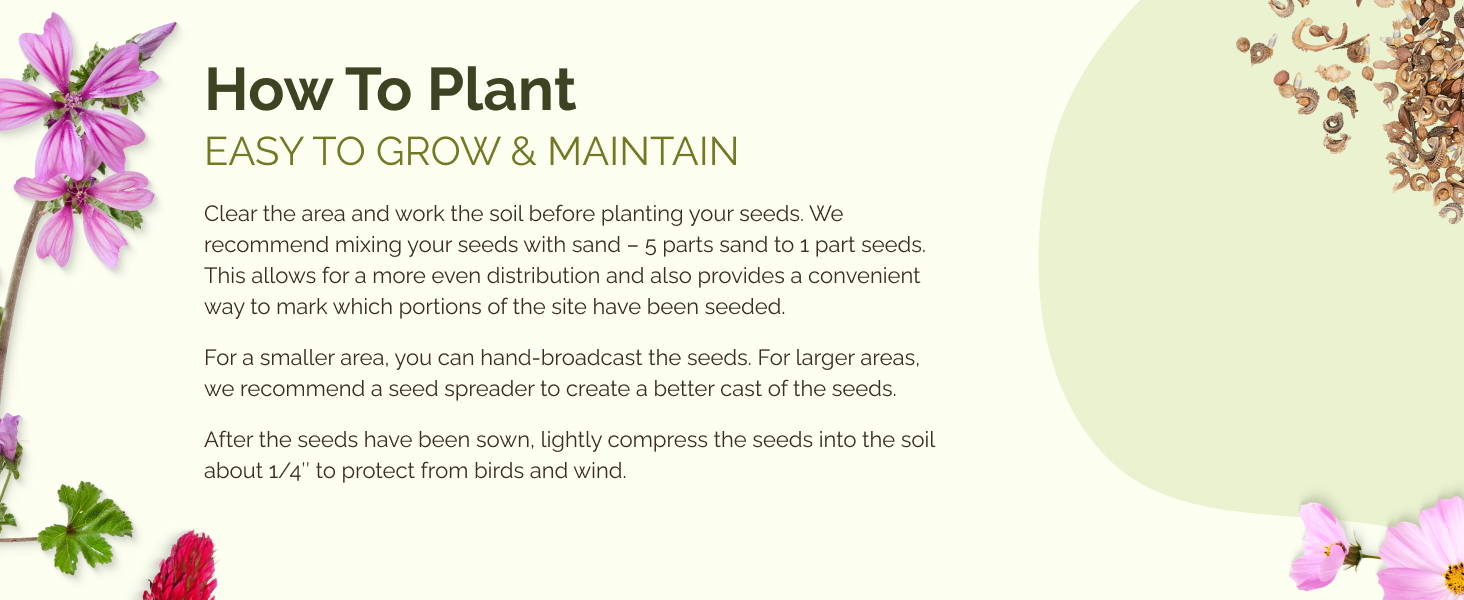 easy growing hardy throw grow