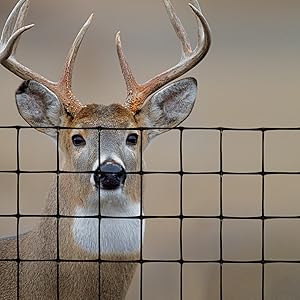 Deer Fence Select