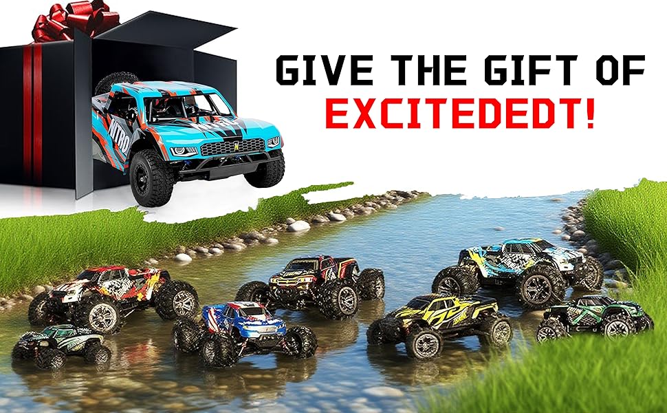 RC Cars for Adults