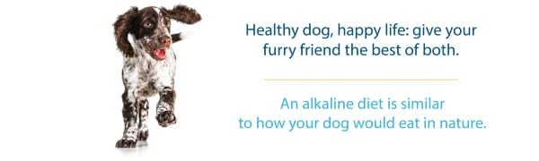 happy dog food