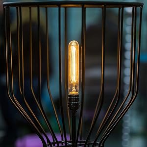 Bulb
