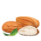 Pure sweet almond oil