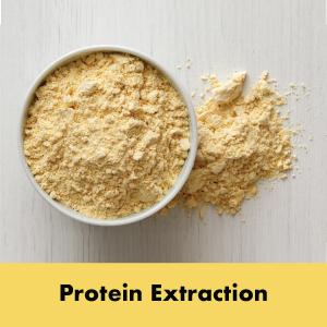 Pea PRotein