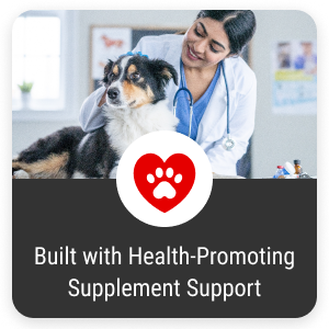 vet-recommended-supplements