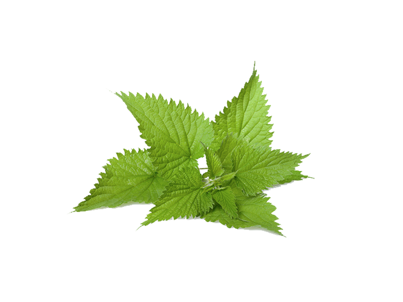 Helps inhibit histamine production, supports natural inflammatory response to irritants