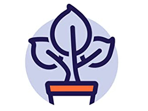 Pruning