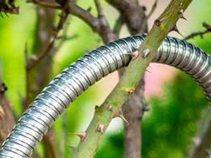 thorn metal garden watering hose tardigrade steel hose