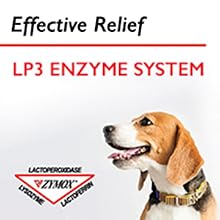 power of enzymes