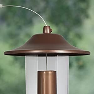 sure-lock cap locks lid
