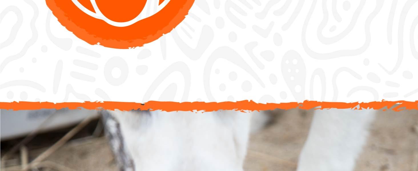 chewers indestructible super chewer puppies months carrot feeko silicone ring hard tough crate