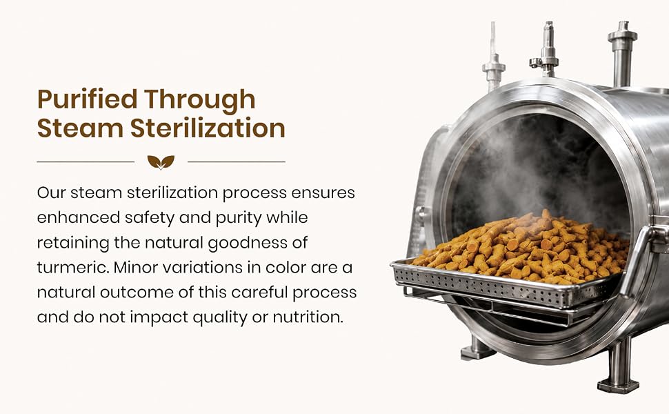 purified through steam sterilization