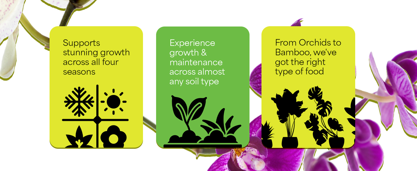 grow more fertilizer plant food tree crops flower vegetables root orchid bloom water soluble growth