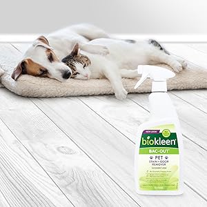 pet safe