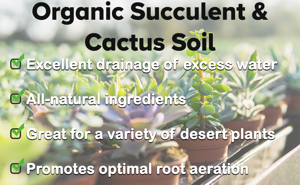 Organic Succulent &amp; Cactus Soil by Perfect Plants Nursery excellent drainage all natural ingredients