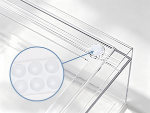 bottle organizer