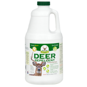 flowers garden sprayer devices bushes spay vegetable concentrate soap plants outdoor natural spray