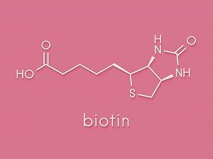 Fortifying Formula with Biotin