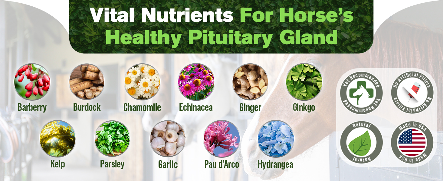 Silver Lining Herbs Pituitary Support for Horses Herbal Equine Supplement Ingredients